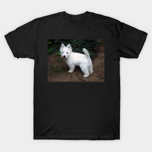 Westie T-Shirt